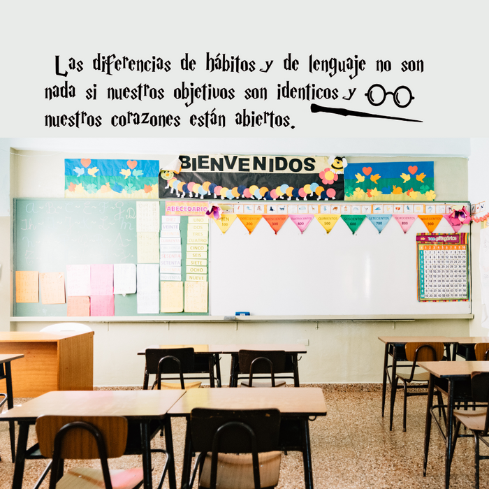 Las diferencias de hábitos y de lenguaje no son nada, Spanish wall quote