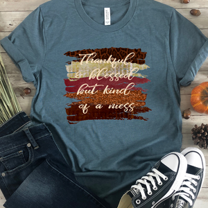 Thankful and blessed but kind of a mess shirt, funny fall shirt for mom, funny fall wife shirt, autumn shirt