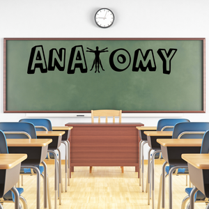 Anatomy decal, Anatomy Teacher, Classroom door Decal for Anatomy classroom