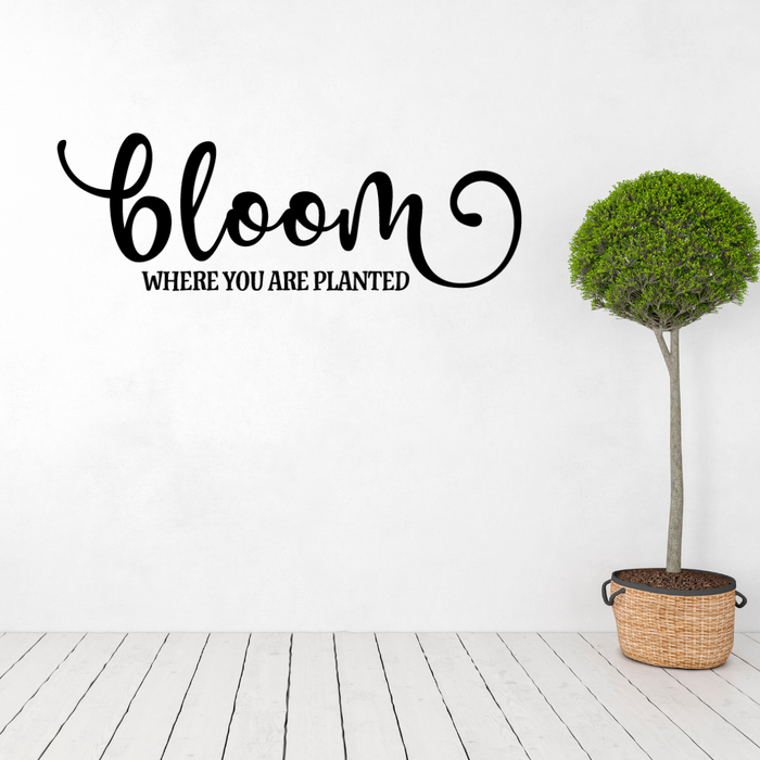 Bloom where you are planted, Decal